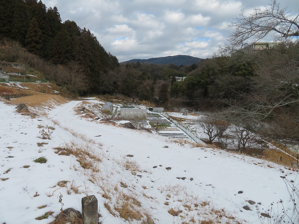 f:id:poseidonttzr:20220129153615j:plain