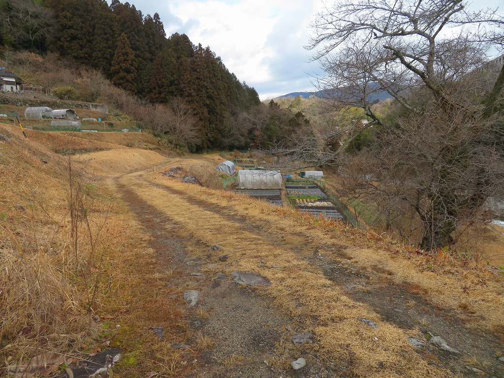 f:id:poseidonttzr:20220129153924j:plain