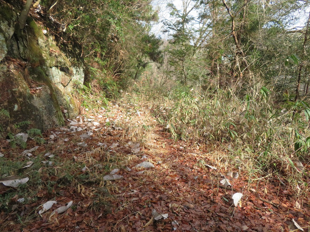 f:id:poseidonttzr:20220201165856j:plain