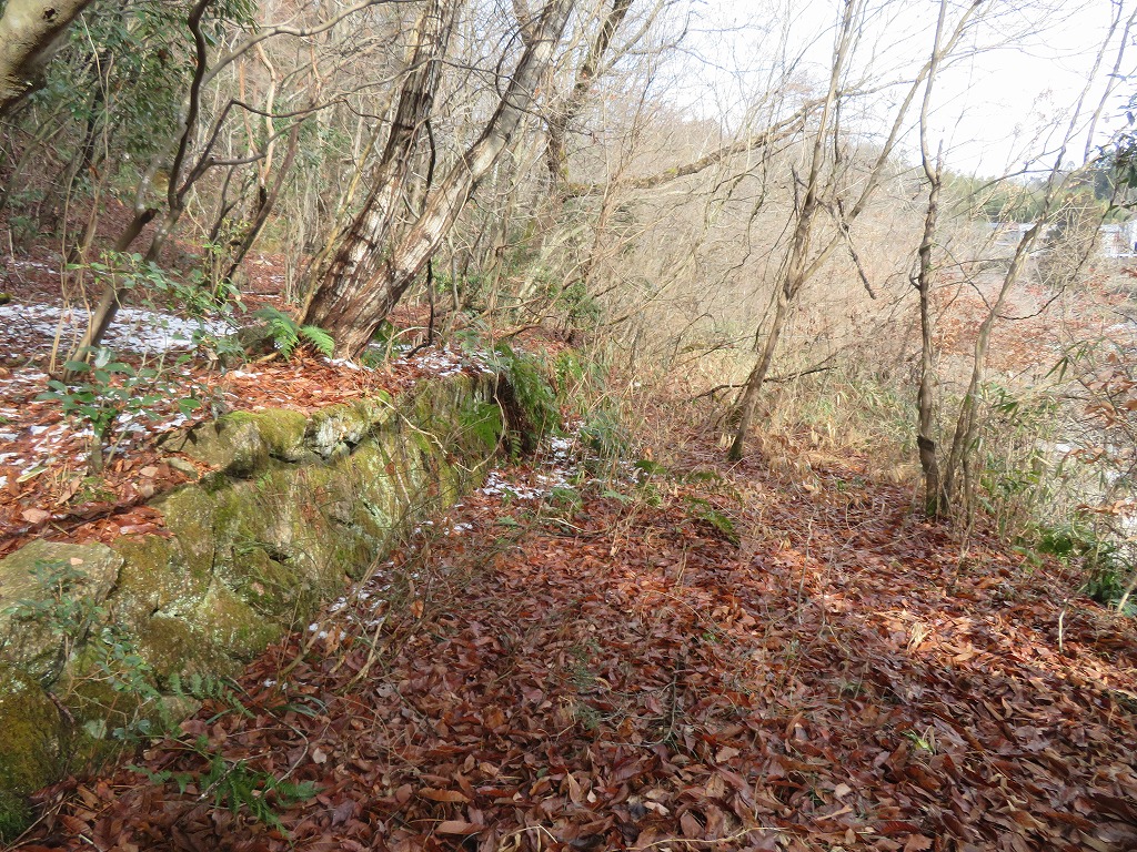 f:id:poseidonttzr:20220201170048j:plain