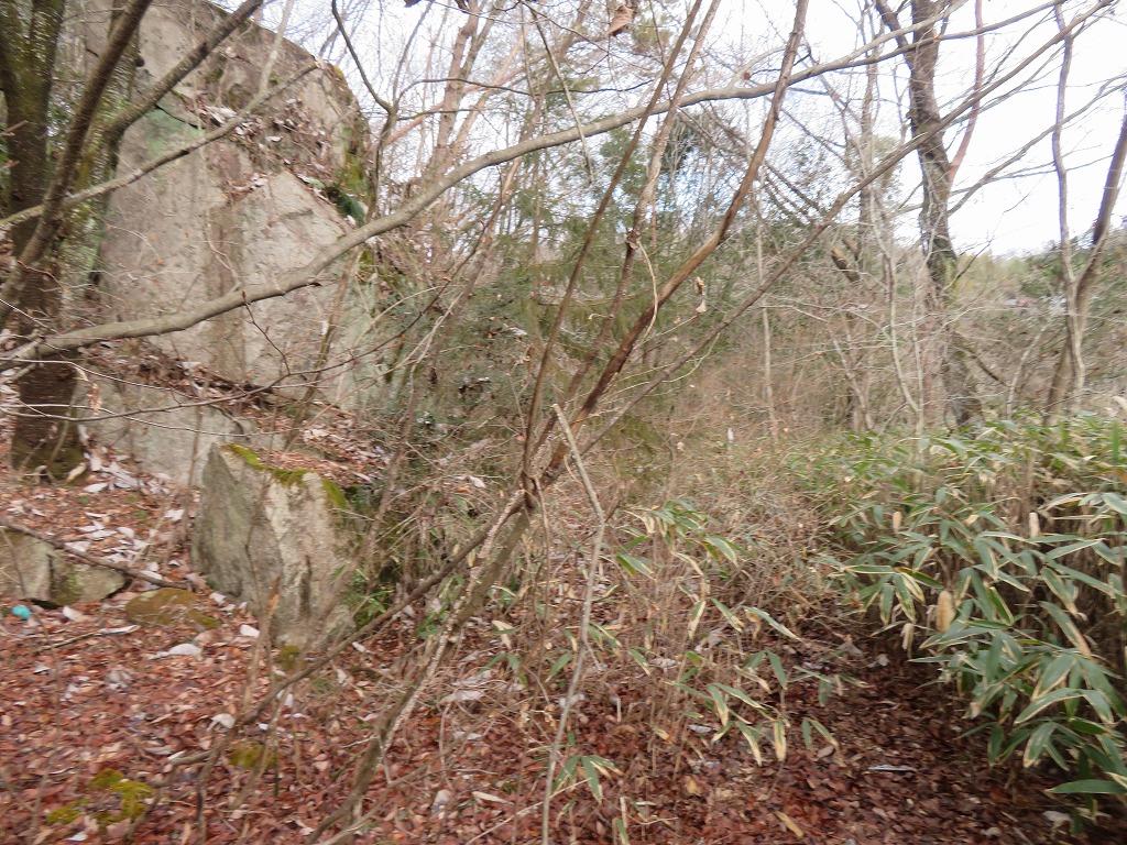 f:id:poseidonttzr:20220201170121j:plain