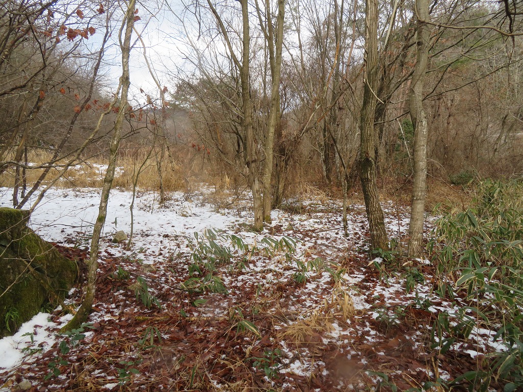 f:id:poseidonttzr:20220201170157j:plain