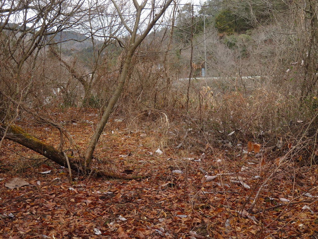 f:id:poseidonttzr:20220201170503j:plain