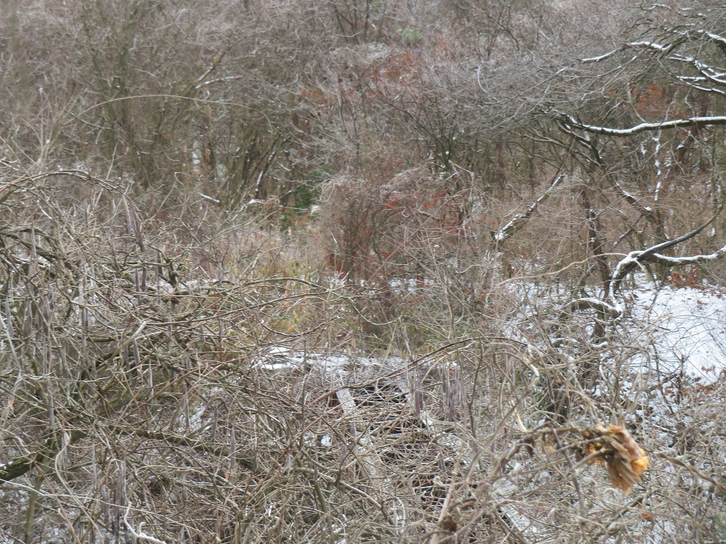 f:id:poseidonttzr:20220204141446j:plain