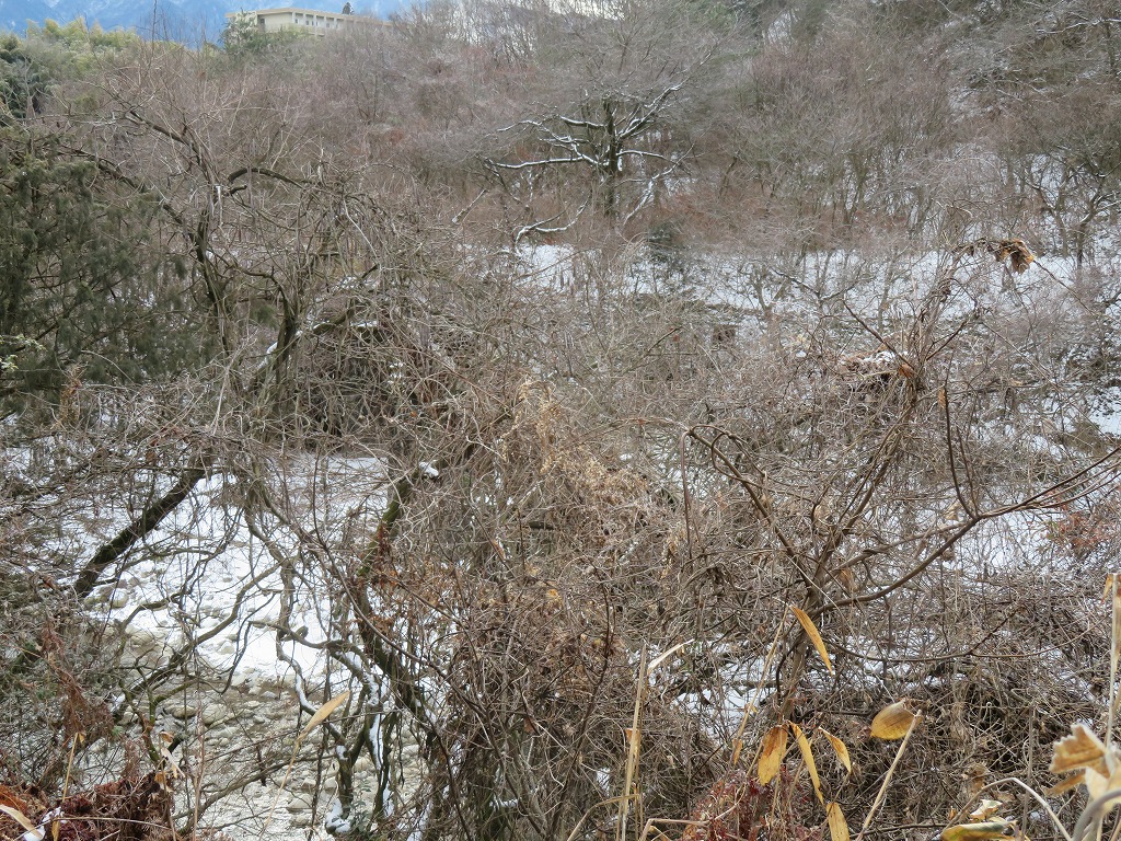 f:id:poseidonttzr:20220204141739j:plain