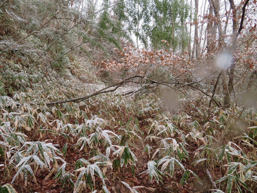 f:id:poseidonttzr:20220212165825j:plain