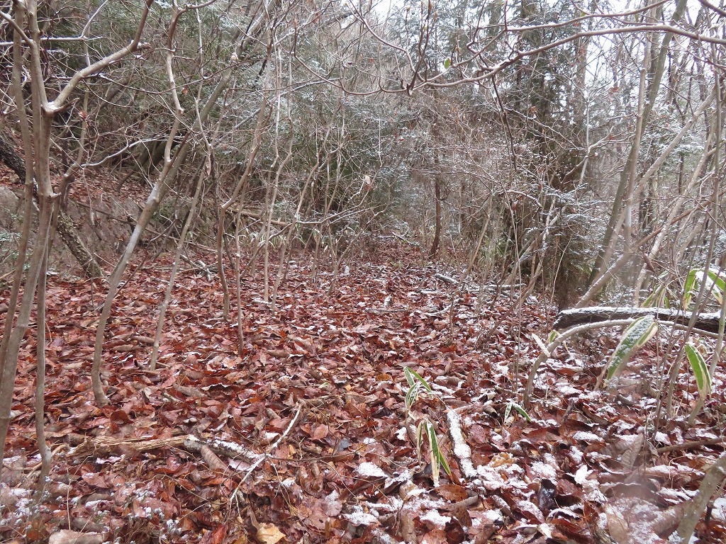 f:id:poseidonttzr:20220212171059j:plain