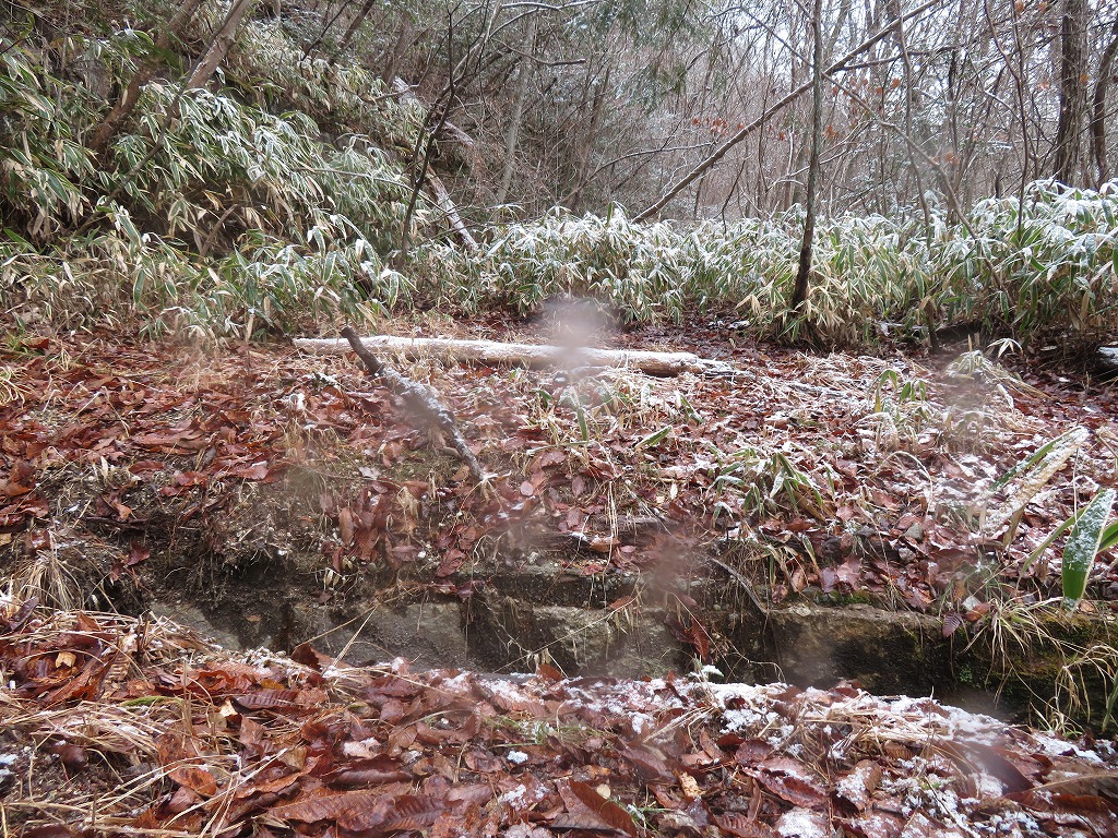 f:id:poseidonttzr:20220212171244j:plain