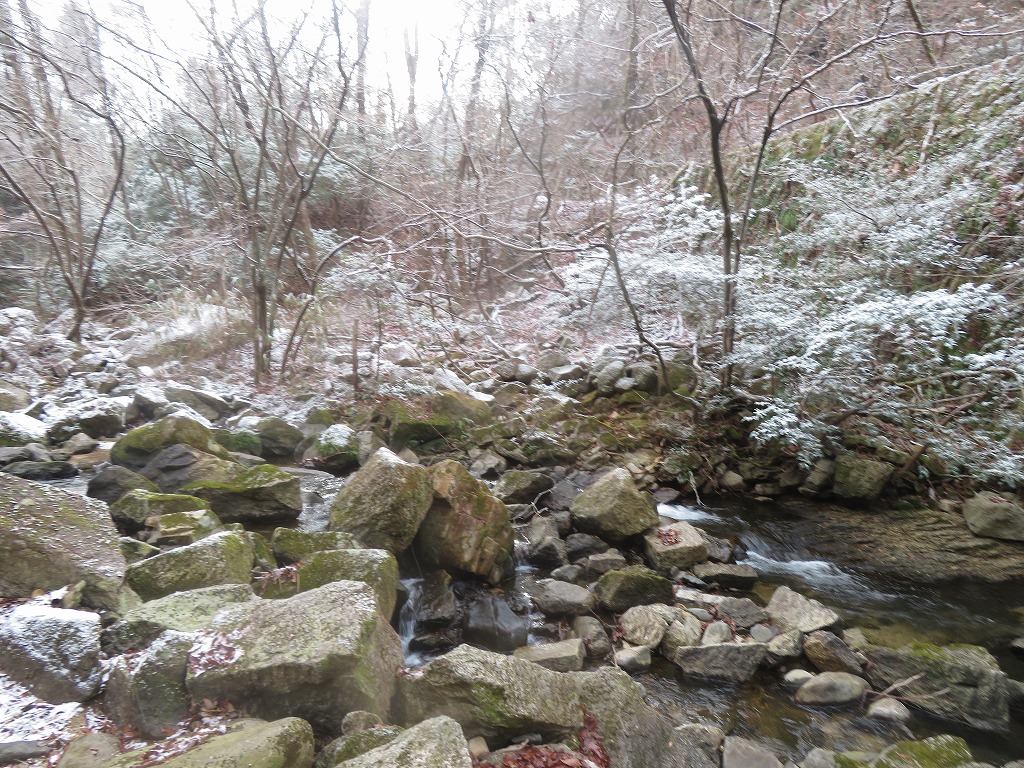 f:id:poseidonttzr:20220214072400j:plain