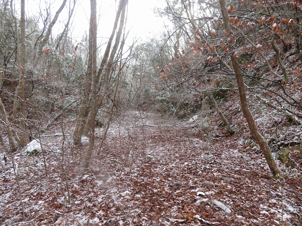 f:id:poseidonttzr:20220214072523j:plain