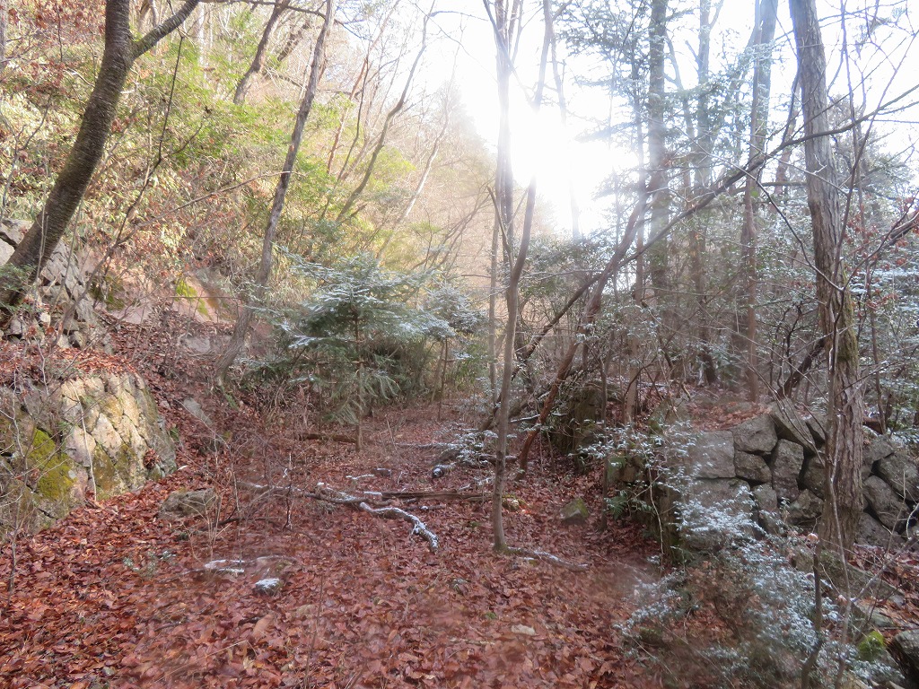 f:id:poseidonttzr:20220217141904j:plain