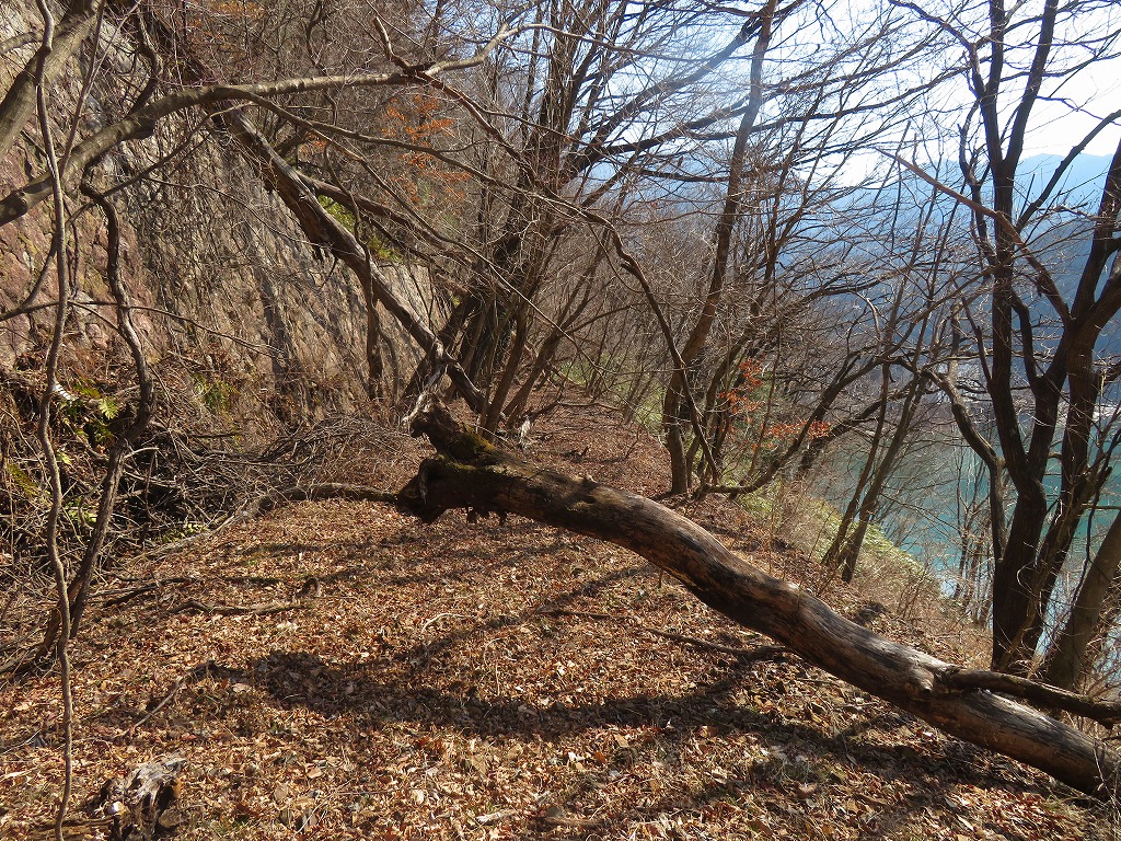 f:id:poseidonttzr:20220314140908j:plain