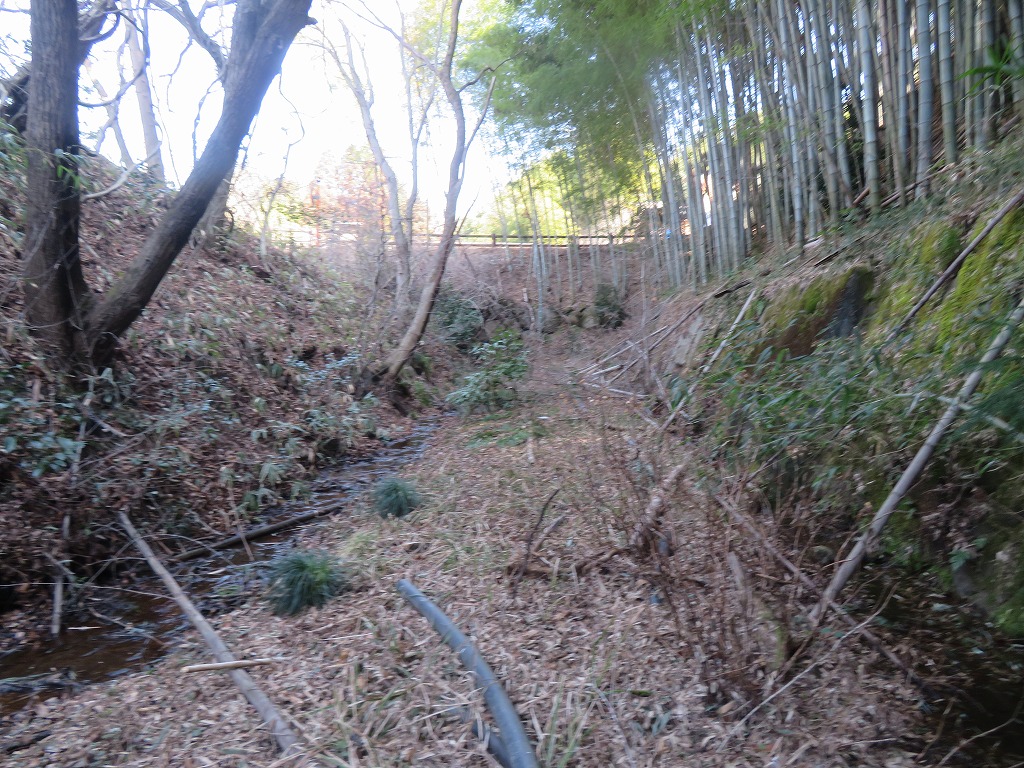 f:id:poseidonttzr:20220325191640j:plain