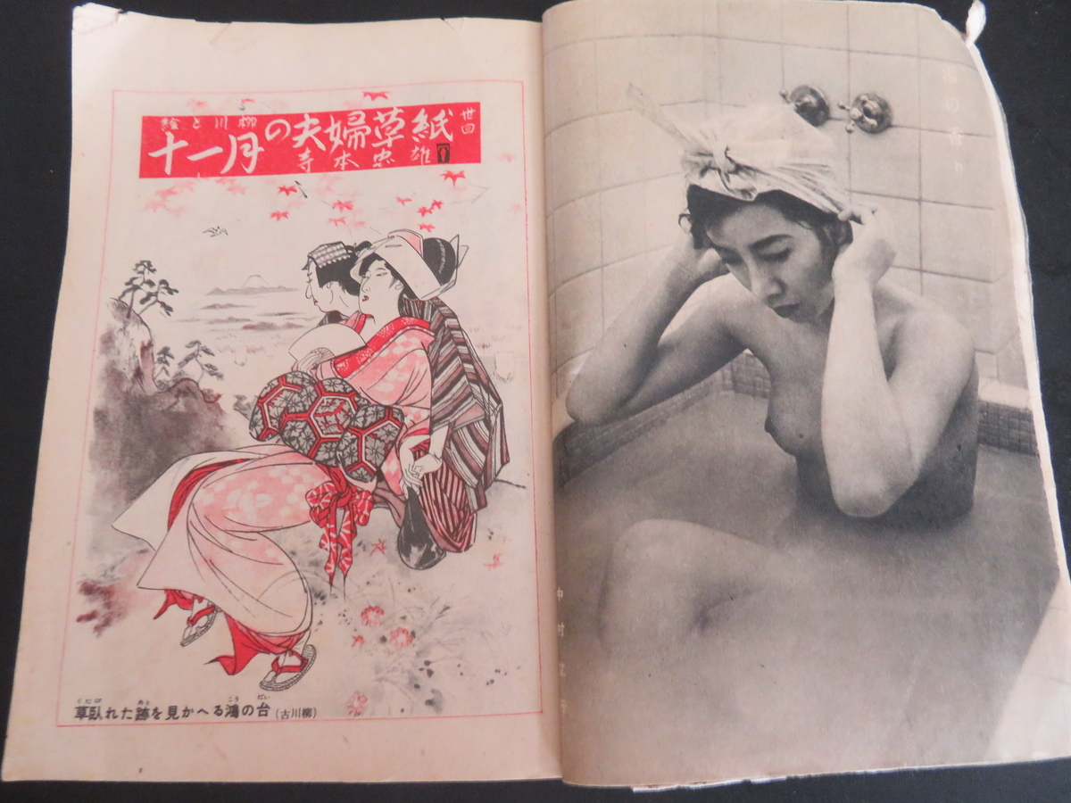 芸者ヌード 
