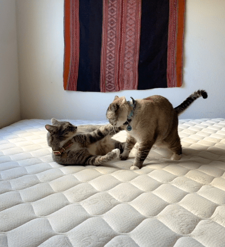 f:id:posiblo:20200729203750p:plain f:id:posiblo:20200729203750p:plain