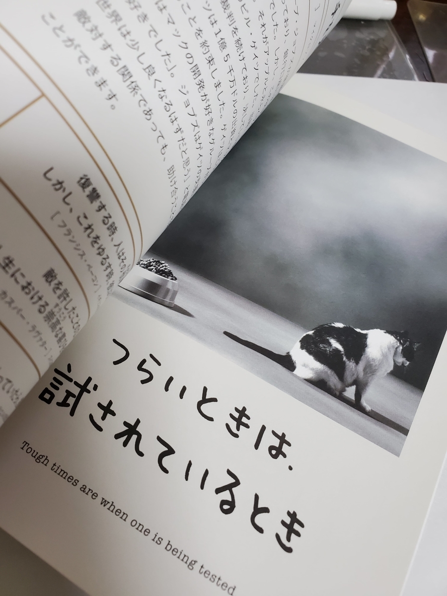 「人生はニャンとかなる」で私がピックアップしたページ画像