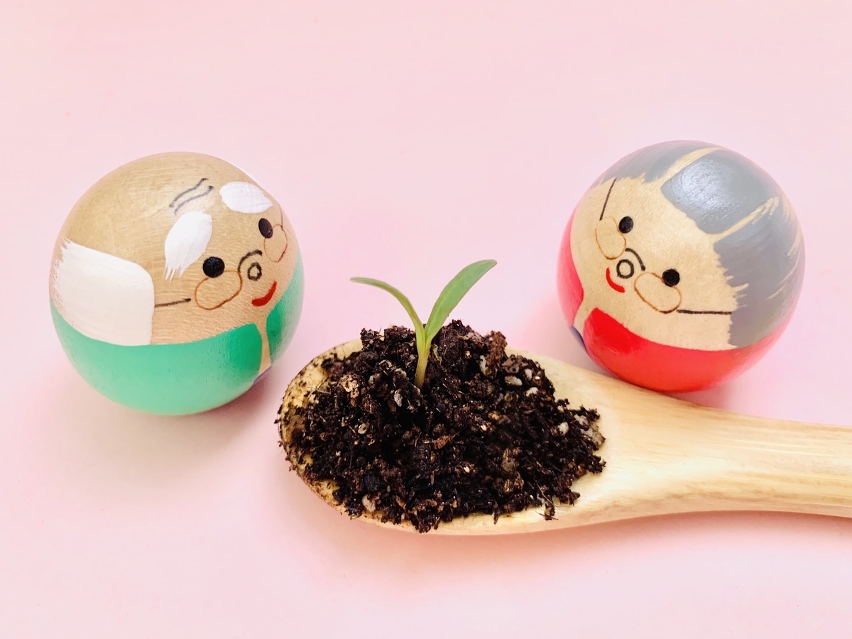 老後の保障は？