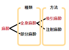 猫の麻酔の種類と方法についての説明図
