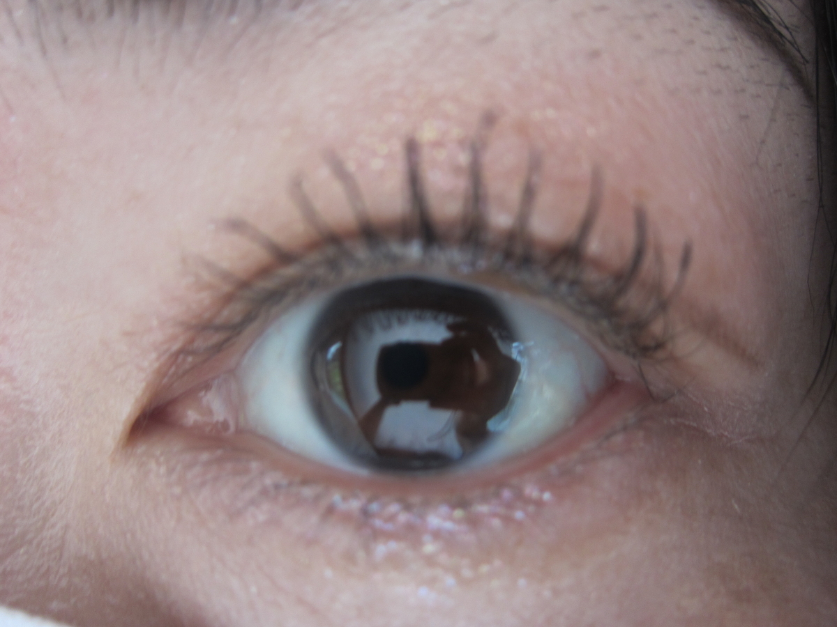 f:id:posidiary:20210930201046j:plain