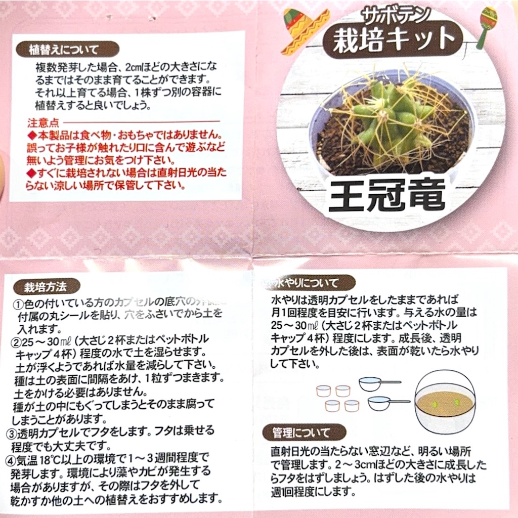 f:id:post1115:20260809012441j:image