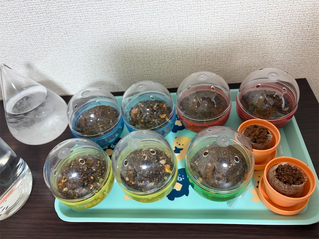 f:id:post1115:20260816001400j:image