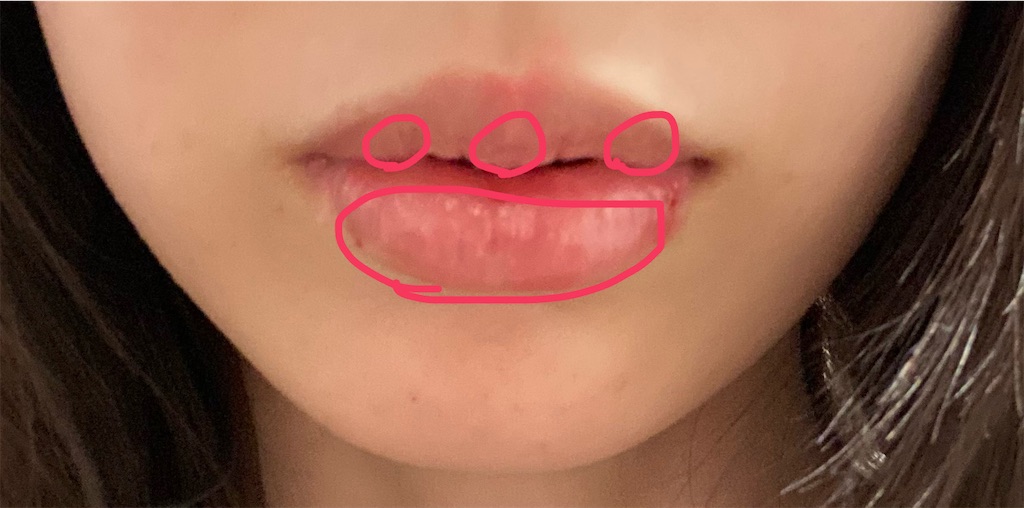 f:id:posuposupaaan:20221107004107j:image