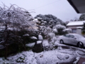 2010年12月31日(金)鹿児島の積雪