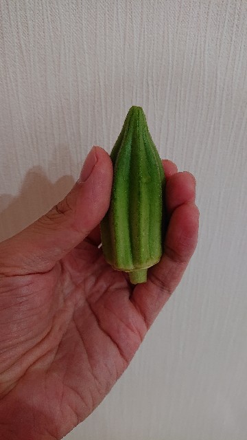 f:id:pota-fly-one:20190822081643j:plain