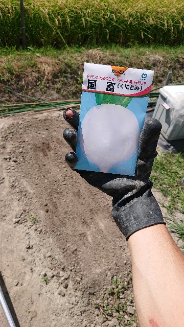f:id:pota-fly-one:20190910204504j:image