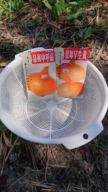 f:id:pota-fly-one:20190917194102j:image