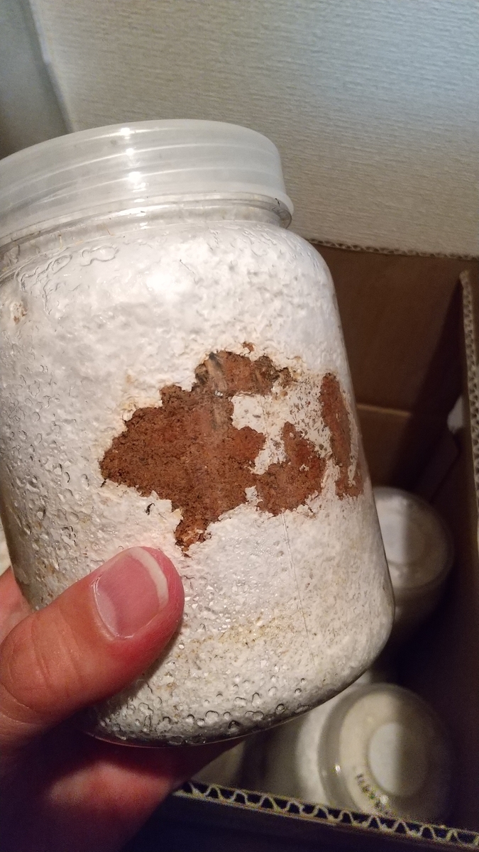 f:id:potabobe_dorcus:20200525225851j:plain f:id:potabobe_dorcus:20200525225851j:plain