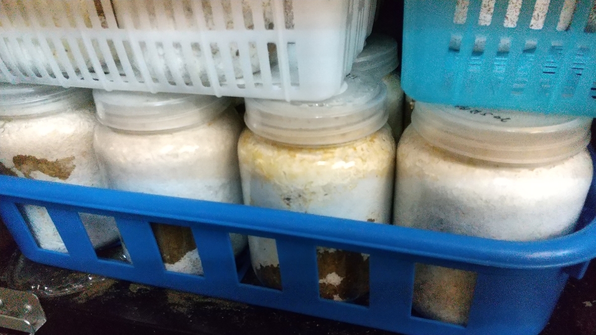 f:id:potabobe_dorcus:20200622222703j:plain f:id:potabobe_dorcus:20200622222703j:plain