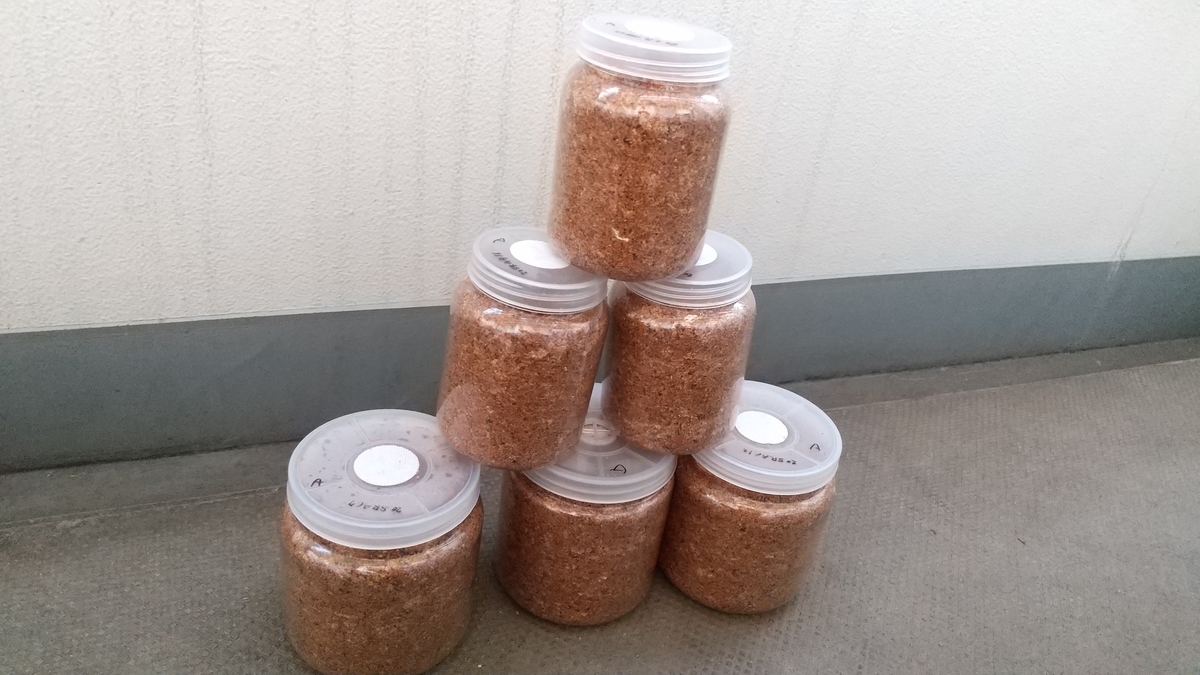 f:id:potabobe_dorcus:20201227221738j:plain