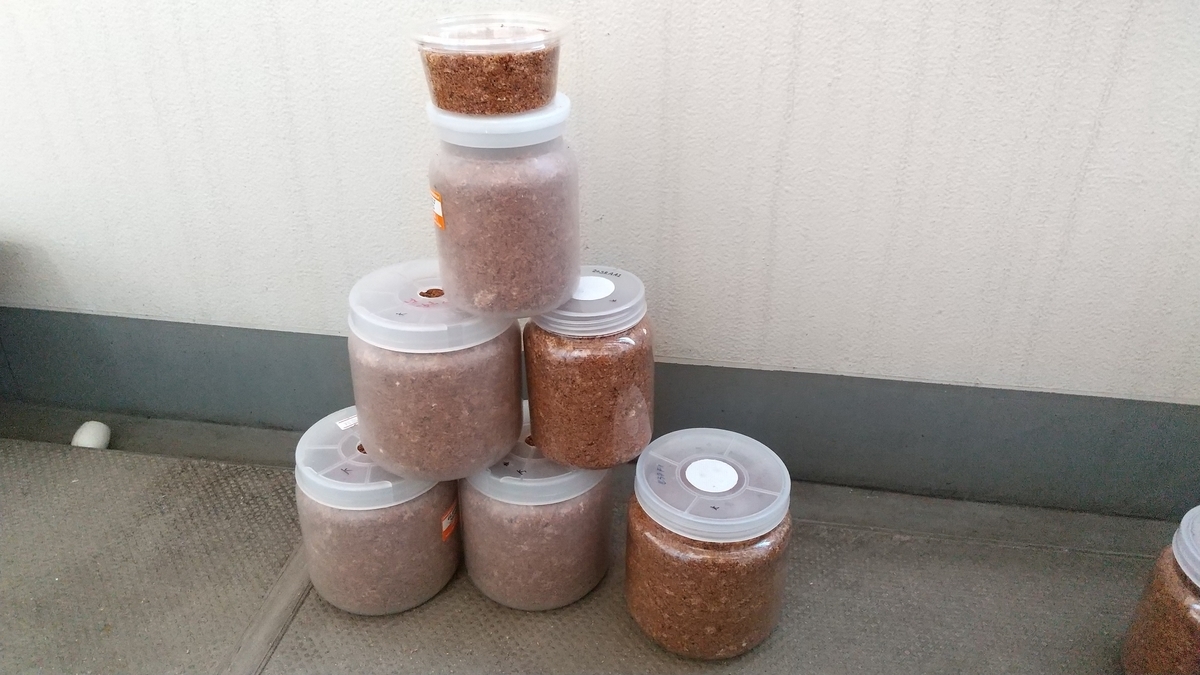 f:id:potabobe_dorcus:20201227221759j:plain