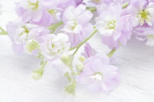 ブログを半年続けた結果、収益はどうなった？