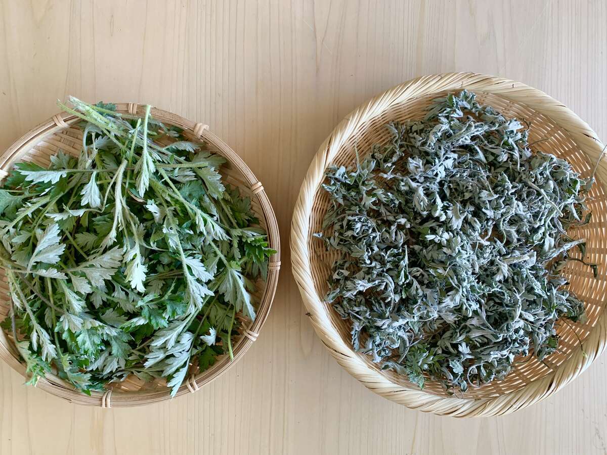 春になったら野草を摘んで暮らしに生かす。