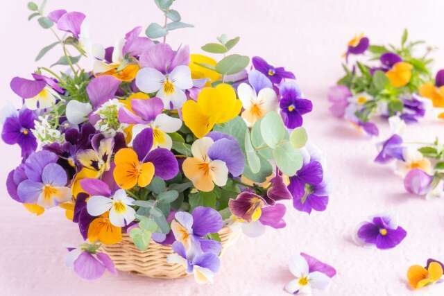 NISA成長投資枠の一括投資完了