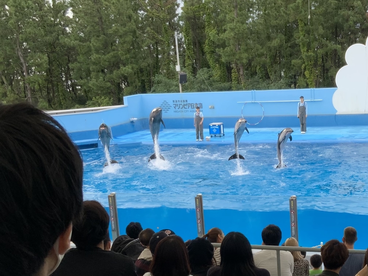 f:id:potaxyz:20201007211509j:plain