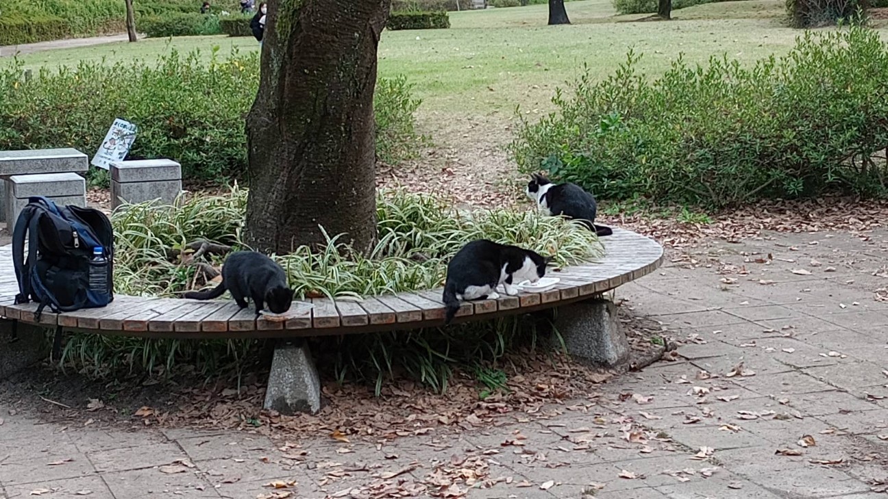 f:id:poteko07:20231129122313j:image