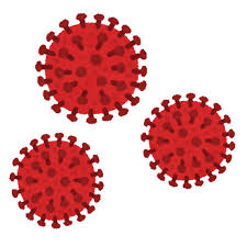 f:id:potemalu02:20200405195154j:plain f:id:potemalu02:20200405195154j:plain