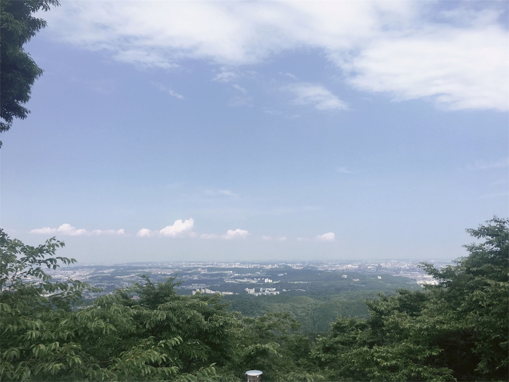 f:id:potemiyun:20170624120539j:image f:id:potemiyun:20170624120539j:image