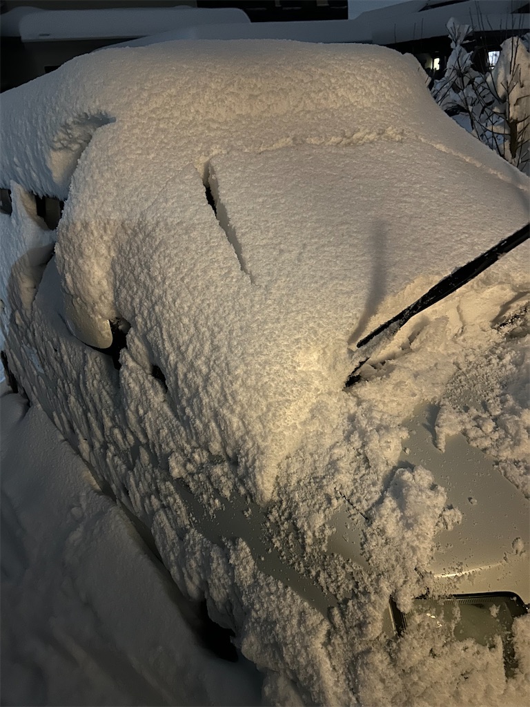 f:id:potetomelon:20230101053144j:image