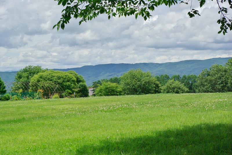 f:id:pottering_potarin:20180630123817j:plain