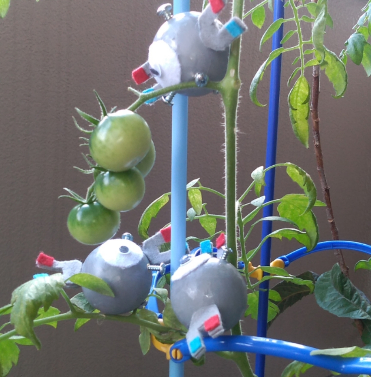 ピン球で作ったコイル達 Pottiri S Autobiography