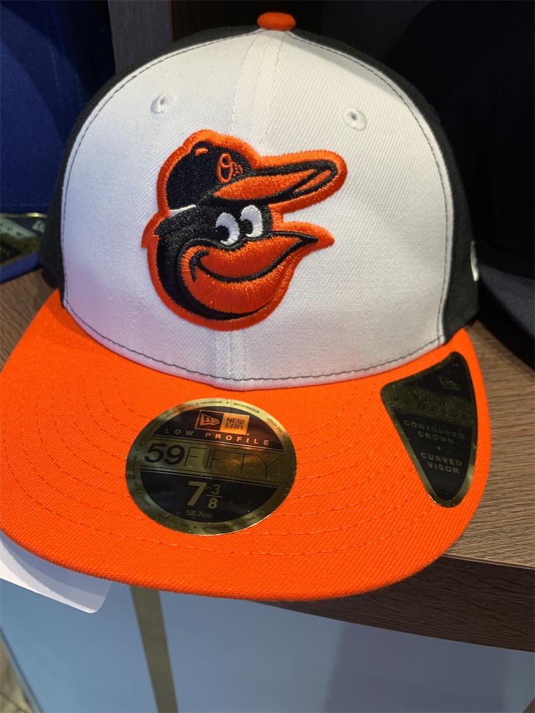 f:id:pottyama_12:20200807170257j:image