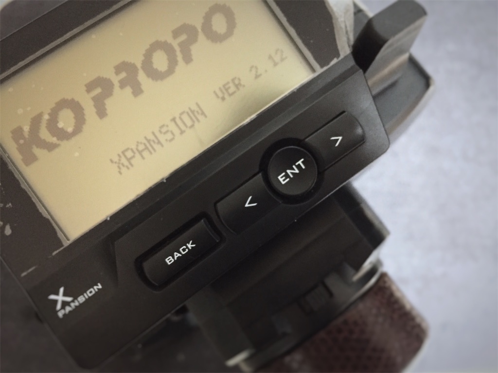 f:id:poussette:20210209223137j:image