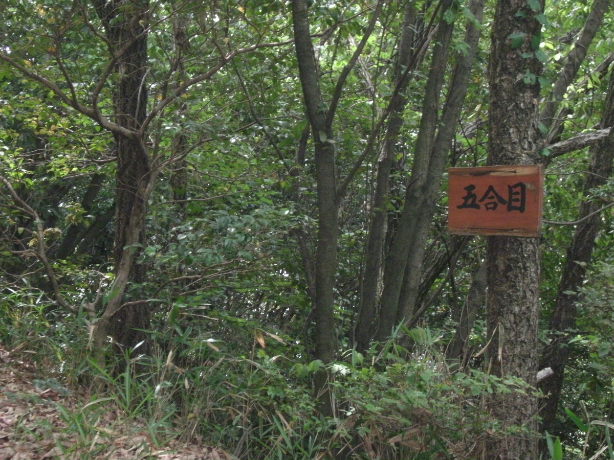 f:id:powerchang:20190623171031j:plain
