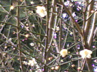 f:id:powergodd:20060303195724j:image
