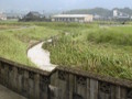 20120723003443