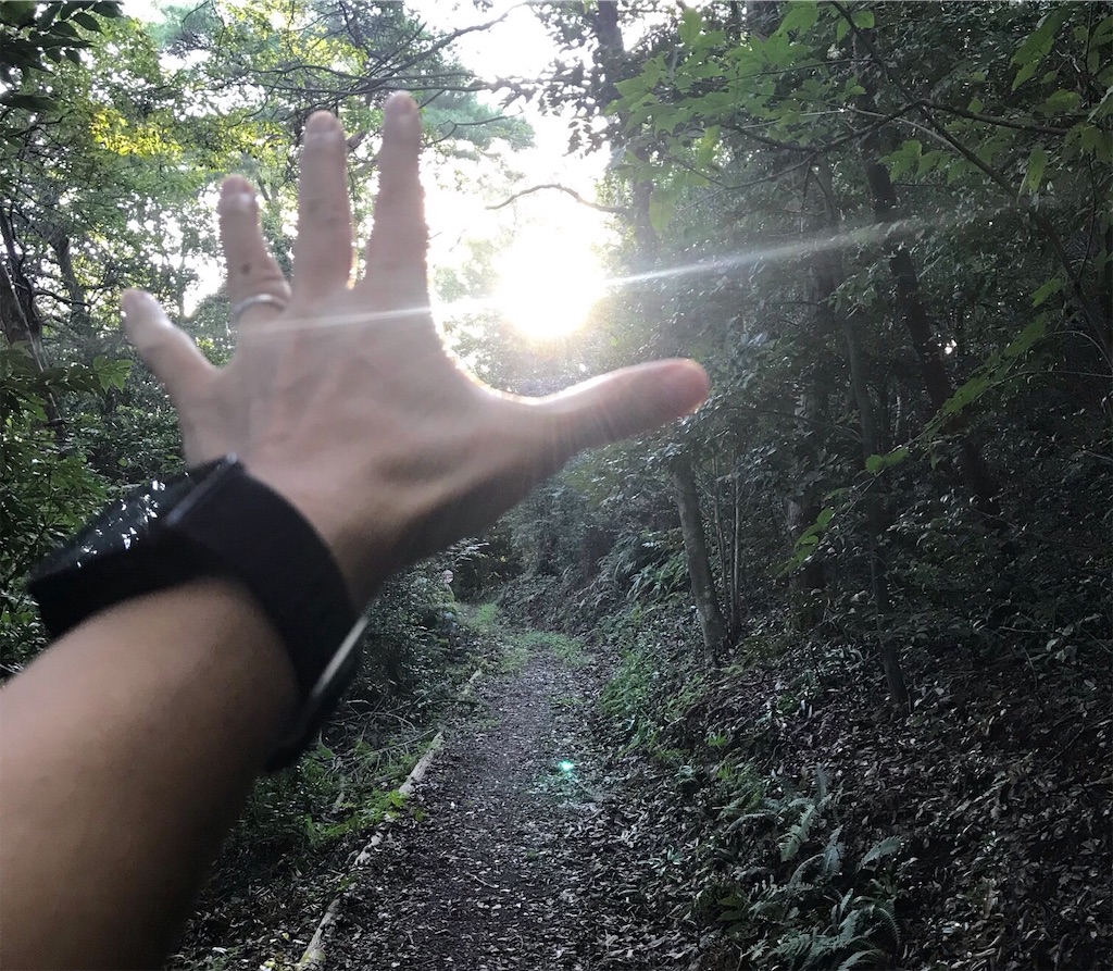 f:id:powerofrun:20191016110251j:image f:id:powerofrun:20191016110251j:image